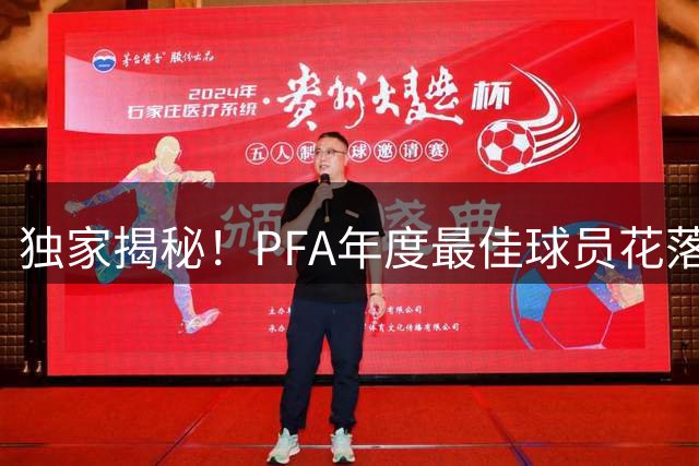 独家揭秘！PFA年度最佳球员花落B费，多位球星投票力挺